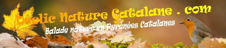Dclic Nature Catalane