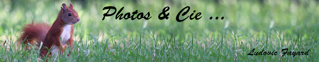 Photos and Cie